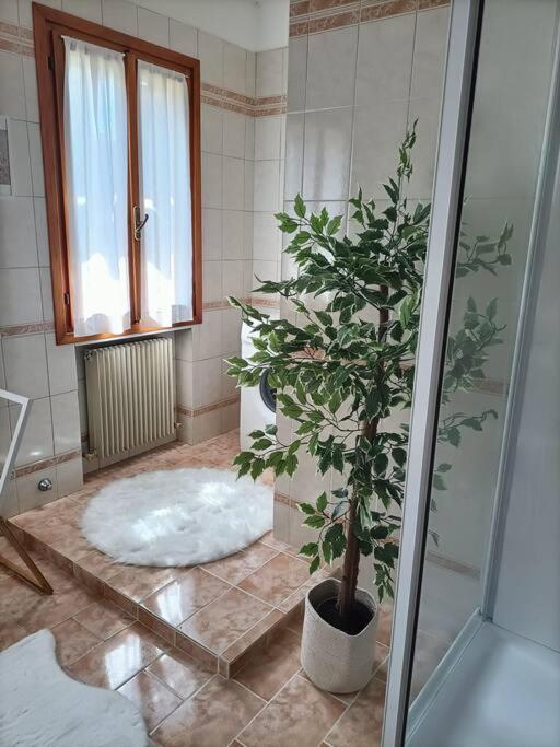 Willa A Due Passi Dal Centro Treviso Zewnętrze zdjęcie